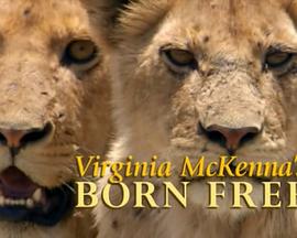 弗吉尼亚·麦肯娜回顾《生来自由》