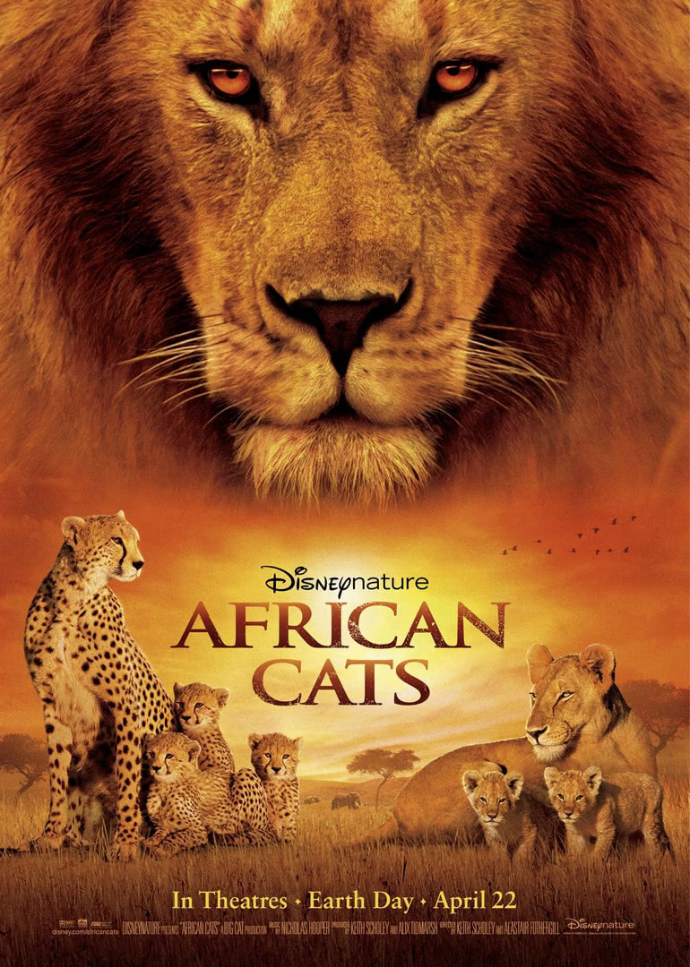 非洲猫科封面图片