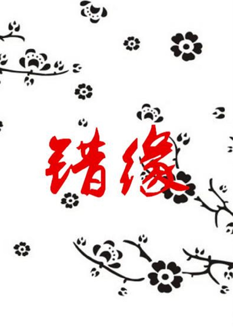 2021喜剧片《错缘》迅雷下载_中文完整版_百度云网盘720P|1080P资源