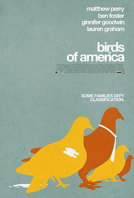 美国鸟类的海报