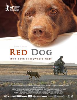 2021喜剧片《红犬历险记》迅雷下载_中文完整版_百度云网盘720P|1080P资源