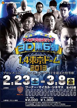 ワールドプロレスリング3D 第6弾 1.4東京ドーム 2013
