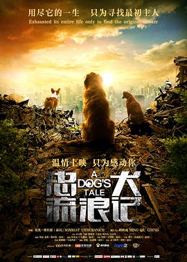 2021剧情片《忠犬流浪记》迅雷下载_中文完整版_百度云网盘720P|1080P资源