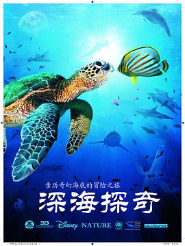 2021纪录片《深海探奇》迅雷下载_中文完整版_百度云网盘720P|1080P资源