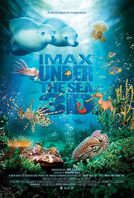 2021纪录片《海底世界3D》迅雷下载_中文完整版_百度云网盘720P|1080P资源