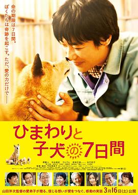 向日葵与幼犬的7天(日语)的海报