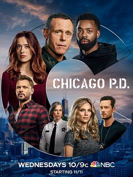 芝加哥警署第八季封面图片