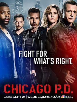 芝加哥警署第四季海报封面