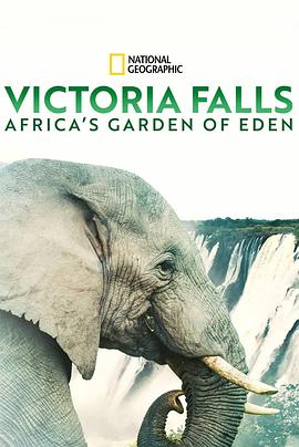 维多利亚瀑布：非洲的伊甸园的海报