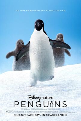 企鹅的海报