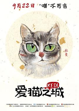 2021纪录片《爱猫之城》迅雷下载_中文完整版_百度云网盘720P|1080P资源