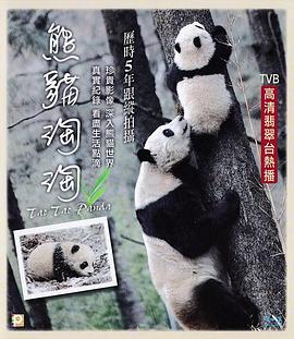 熊猫淘淘海报