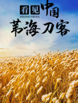 2021纪录片《看见中国：苇海刀客》迅雷下载_中文完整版_百度云网盘720P|1080P资源