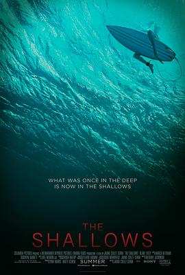 2021电影解说《美女出海冲浪，不幸被鲨鱼困在孤石，她该如何自救？#鲨滩》迅雷下载_中文完整版_百度云网盘720P|1080P资源