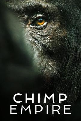 2021纪录片《黑猩猩帝国》迅雷下载_中文完整版_百度云网盘720P|1080P资源