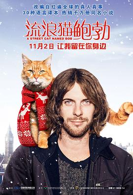 2021电影解说《流浪汉捡到了一只胖猫，因此而改变了自己的一生#流浪猫鲍勃》迅雷下载_中文完整版_百度云网盘720P|1080P资源