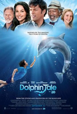 2021电影解说《戴假肢的海豚你应该没见过吧？#海豚的故事》迅雷下载_中文完整版_百度云网盘720P|1080P资源