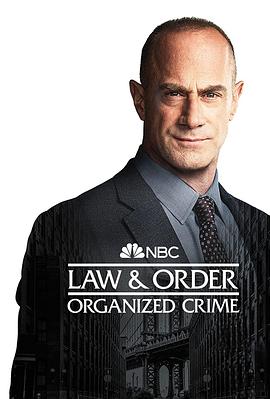 法律与秩序：组织犯罪第三...