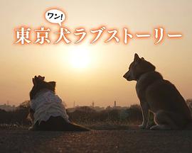 东京犬爱情故事映画