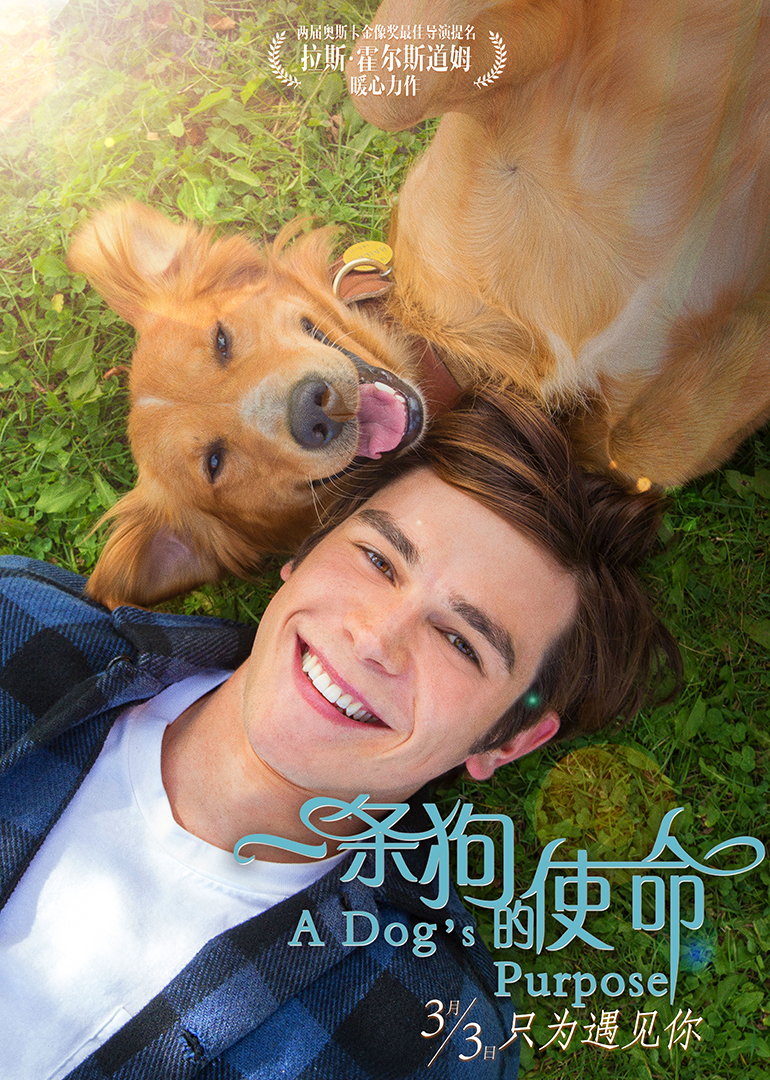 2021喜剧片《一条狗的使命》迅雷下载_中文完整版_百度云网盘720P|1080P资源