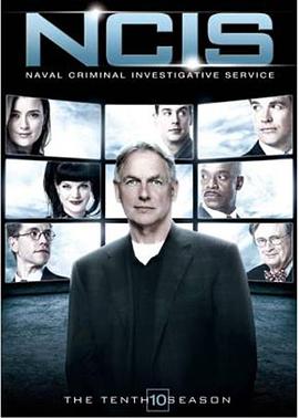 海军罪案调查处第十季映画