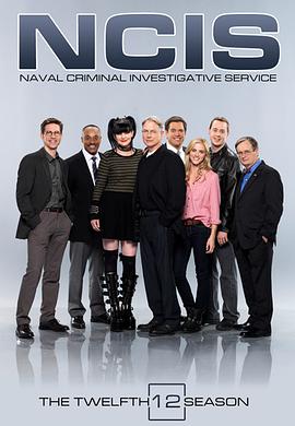 海军罪案调查处第十二季映画