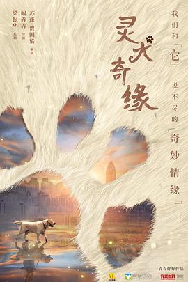 2021剧情片《灵犬奇缘》迅雷下载_中文完整版_百度云网盘720P|1080P资源