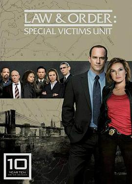 法律与秩序：特殊受害者第十季的海报