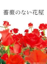 2021日本剧《没有玫瑰的花店》迅雷下载_中文完整版_百度云网盘720P|1080P资源
