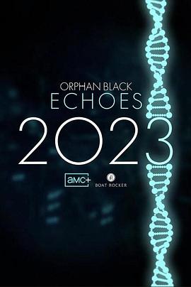 2021欧美剧《黑色孤儿：回响》迅雷下载_中文完整版_百度云网盘720P|1080P资源