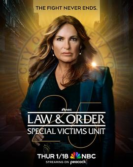 法律与秩序：特殊受害者第二十五季海报封面