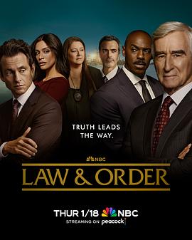 法律与秩序第二十三季海报封面