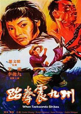 跆拳震九州国语的海报