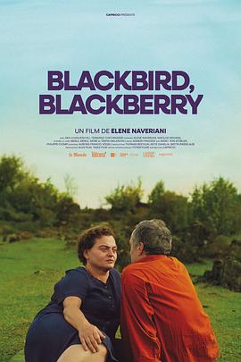 黑鸟黑鸟黑莓的海报