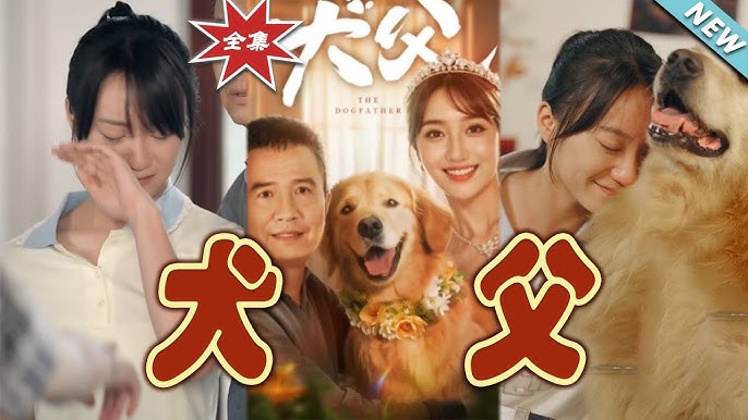 犬父映画