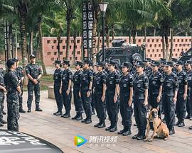 女特警全集在线观看