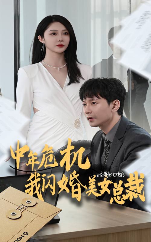 中年危机我闪婚美女总裁映画