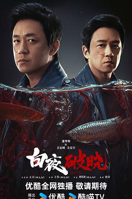 2021国产剧《白夜破晓》迅雷下载_中文完整版_百度云网盘720P|1080P资源